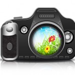 Фотогалерея